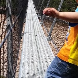 Meet your Posher, Wen